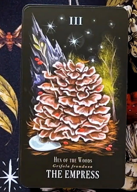 Midnight Magic: A Tarot Deck of Mushrooms